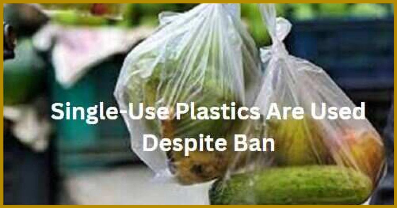 Over 18 Quintals of Banned Single-Use Plastic Bags Seized in Udaipur