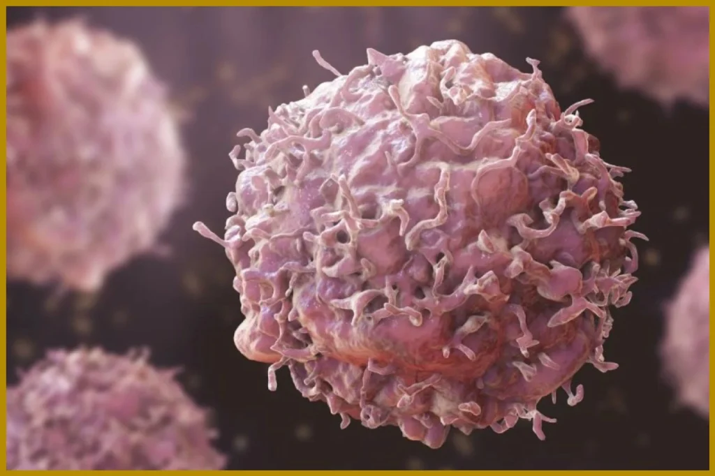 Udaipur Launches Advanced Digital Health App Ahead of World Cancer Day