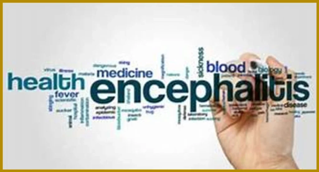 Rising AES Cases Prompt Health Alert in Udaipur