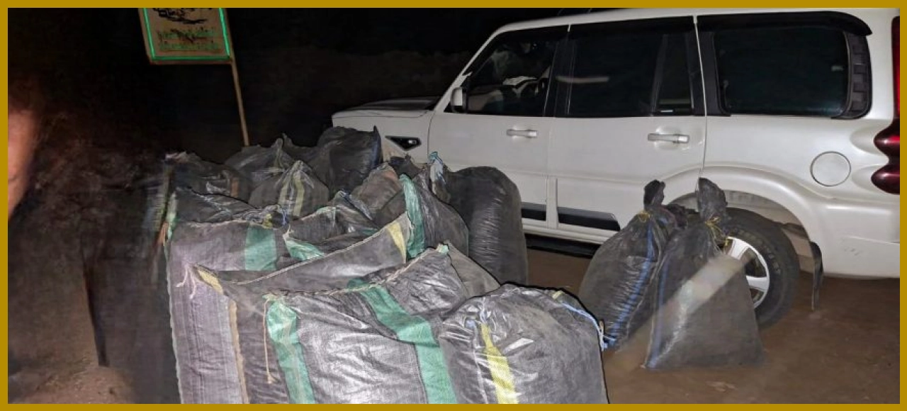 Major Drug Bust in Udaipur