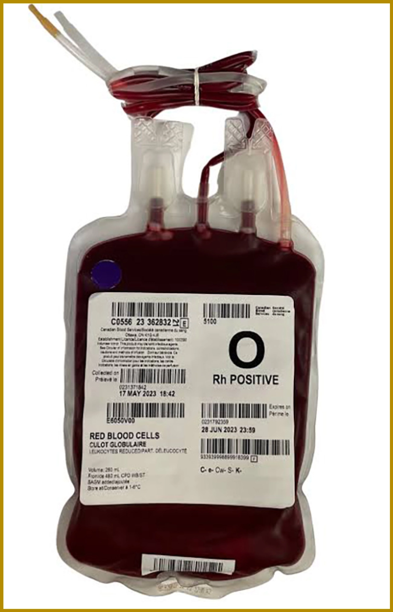 Urgent Call for Blood Donations Amid Shortage