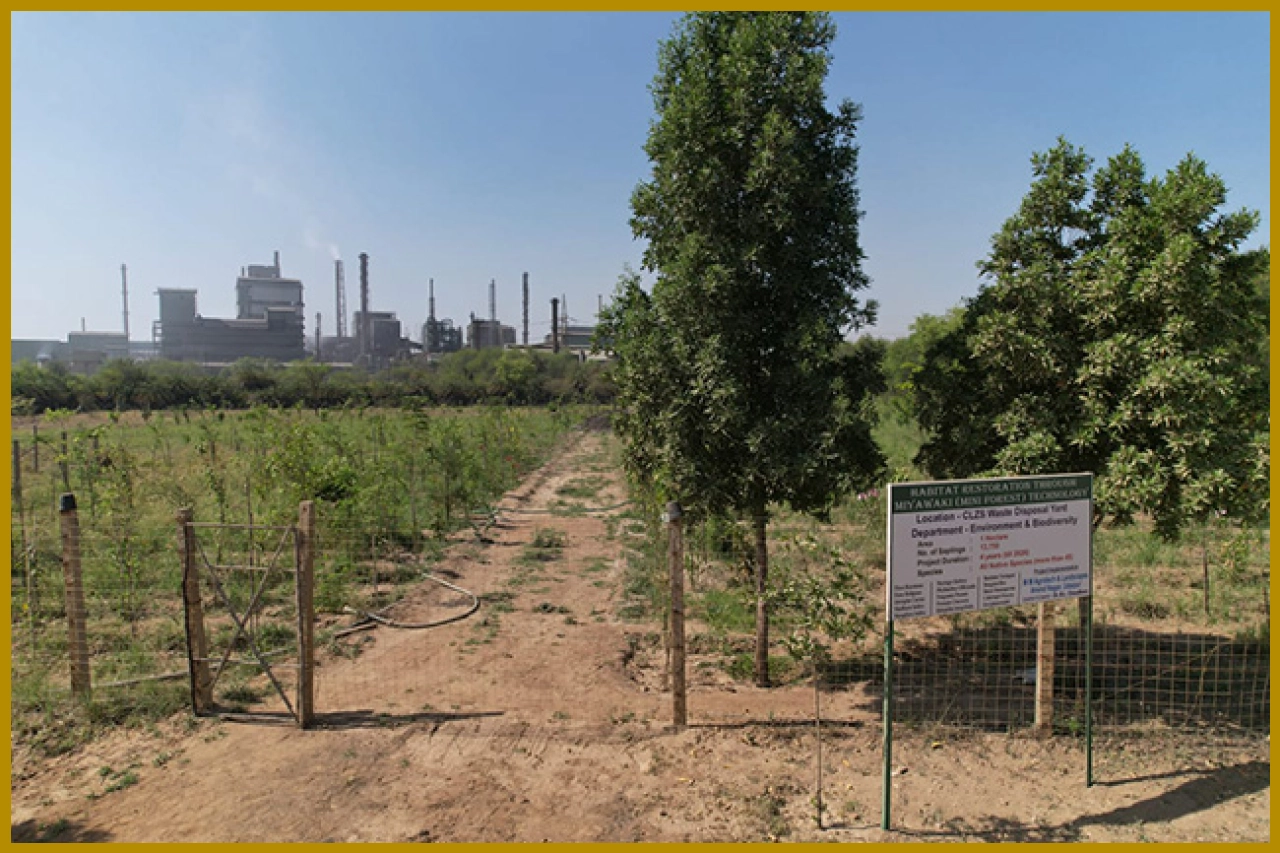 Hindustan Zinc Plants Over 855,000 Saplings in Six Years